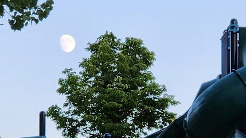 Liberty Park with Dog Park - New Hope, MN