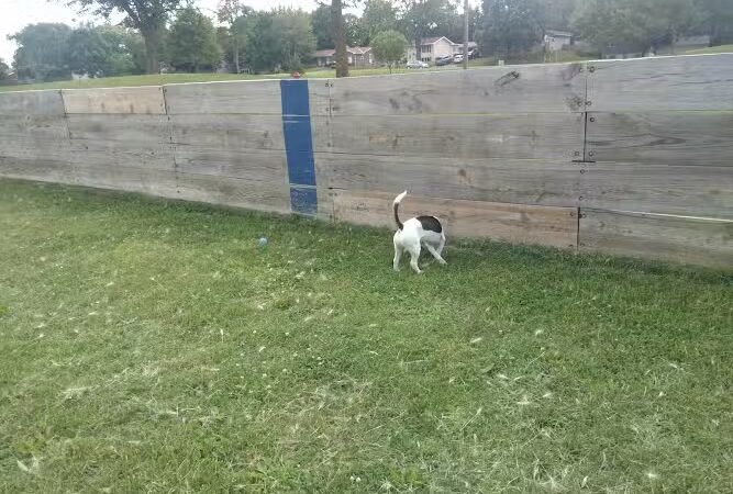 Liberty Park with Dog Park - New Hope, MN