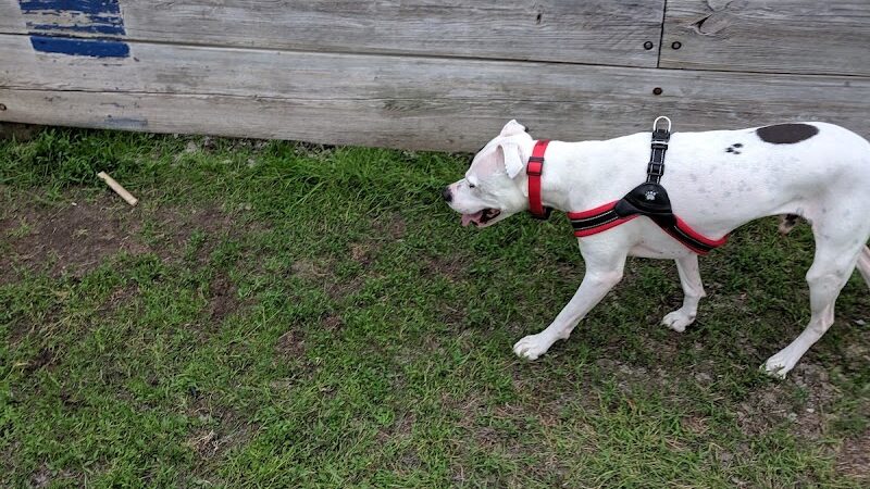 Lions Park with Dog Park - New Hope, MN