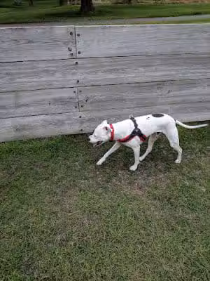 Lions Park with Dog Park - New Hope, MN