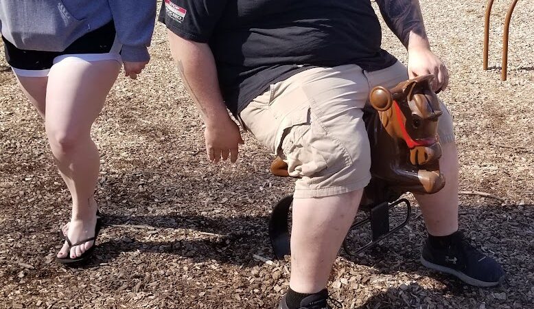 Lions Park with Dog Park - New Hope, MN