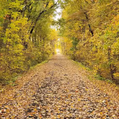 Huron Valley Trail - New Hudson,