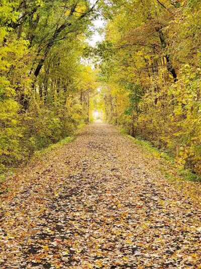 Huron Valley Trail - New Hudson,