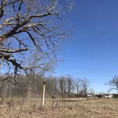 Huron Valley Trail - New Hudson,