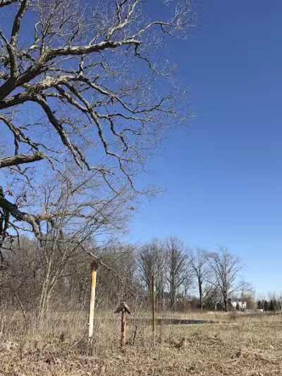 Huron Valley Trail - New Hudson,