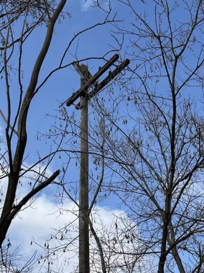 Huron Valley Trail - New Hudson,