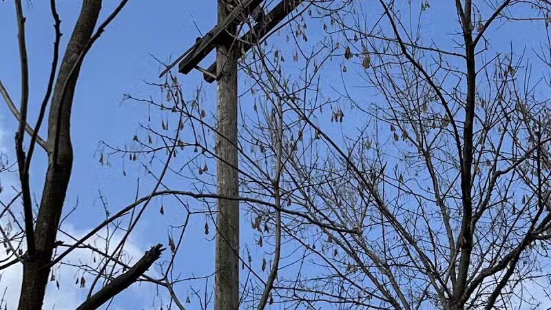 Huron Valley Trail - New Hudson,