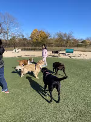 Tully Dog Park - New Hyde Park, NY