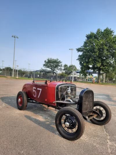 Tully Dog Park - New Hyde Park,