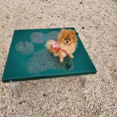 Tully Dog Park - New Hyde Park,