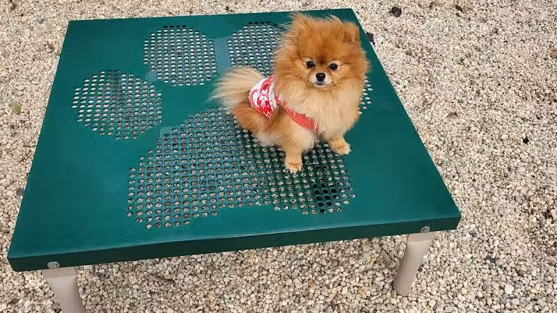 Tully Dog Park - New Hyde Park,