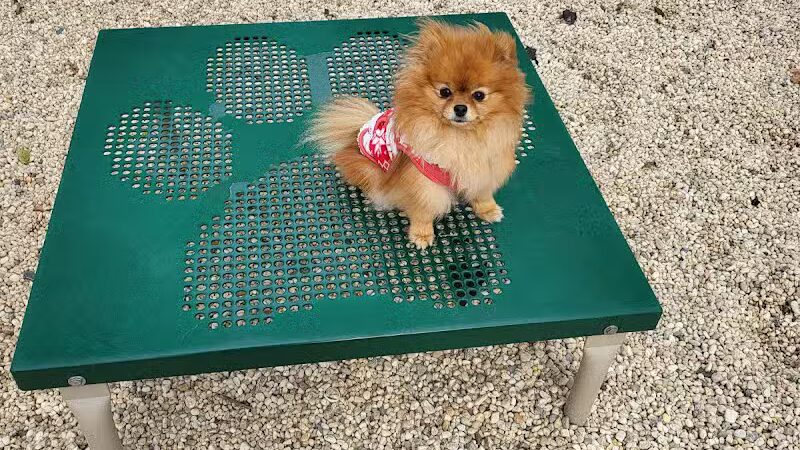 Tully Dog Park - New Hyde Park,