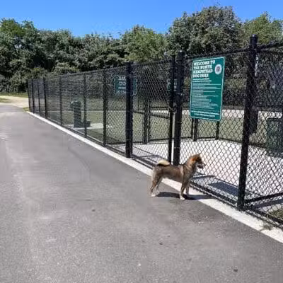 Tully Dog Park - New Hyde Park,