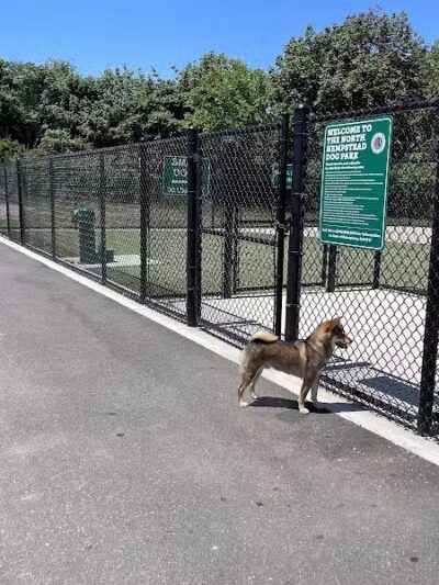Tully Dog Park - New Hyde Park,