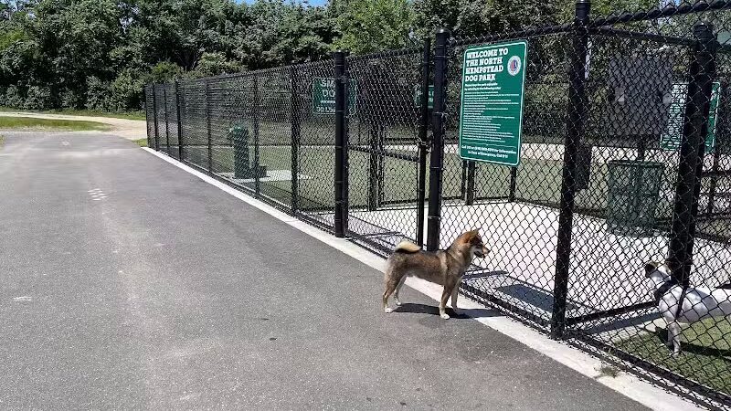 Tully Dog Park - New Hyde Park,