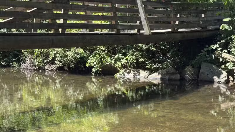 Carlson's Grove Park - New Milford, CT