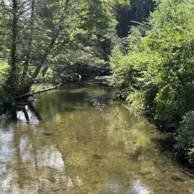 Carlson's Grove Park - New Milford, CT