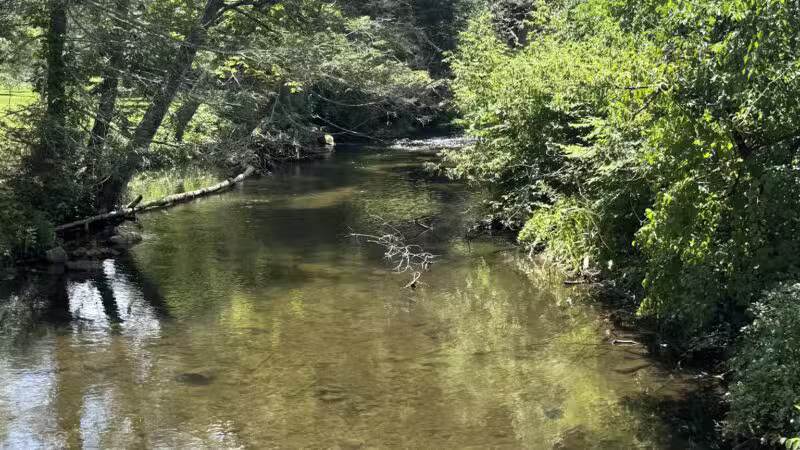 Carlson's Grove Park - New Milford, CT