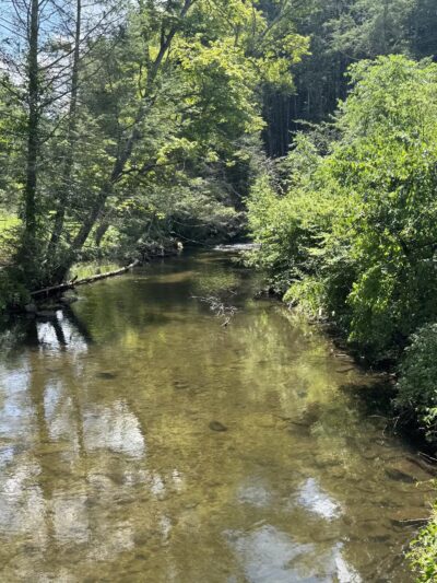 Carlson's Grove Park - New Milford, CT