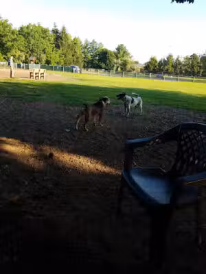 Candlewoof Dog Park - New Milford, CT