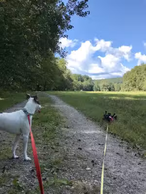 New Milford River Trail - New Milford, CT