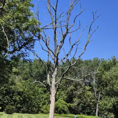 Harrybrooke Park - New Milford, CT