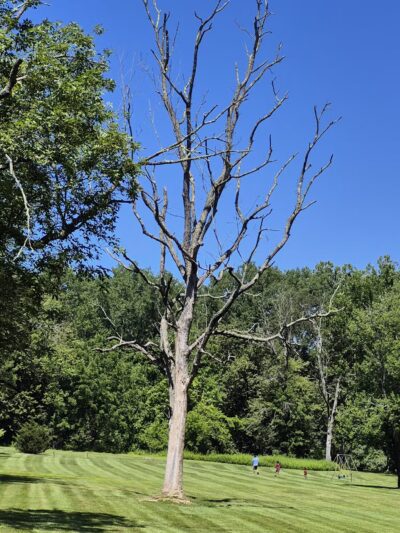 Harrybrooke Park - New Milford, CT