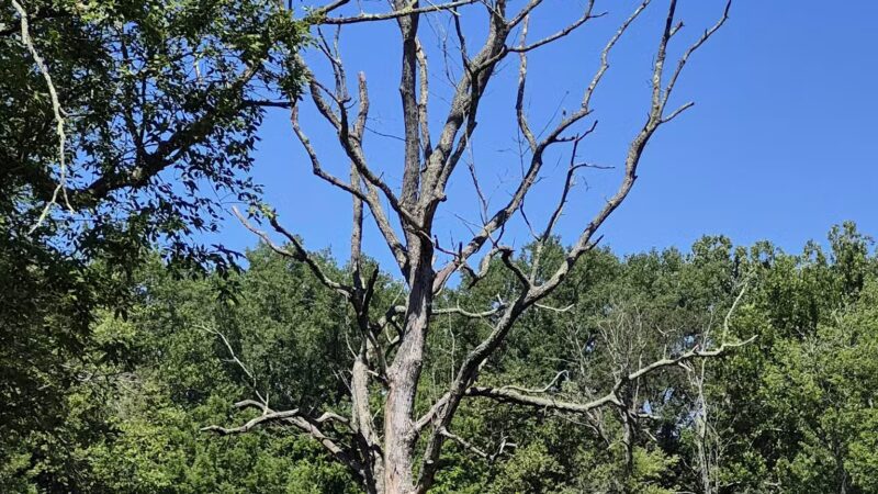 Harrybrooke Park - New Milford, CT