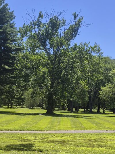 Harrybrooke Park - New Milford, CT