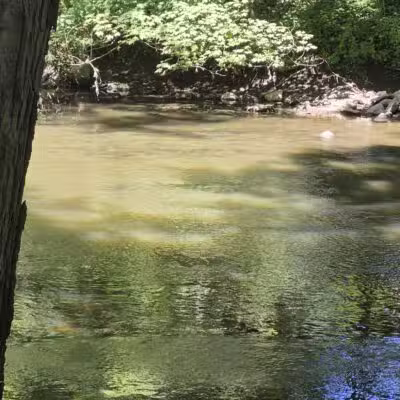 Harrybrooke Park - New Milford, CT