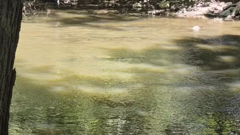 Harrybrooke Park - New Milford, CT