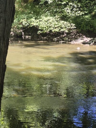 Harrybrooke Park - New Milford, CT