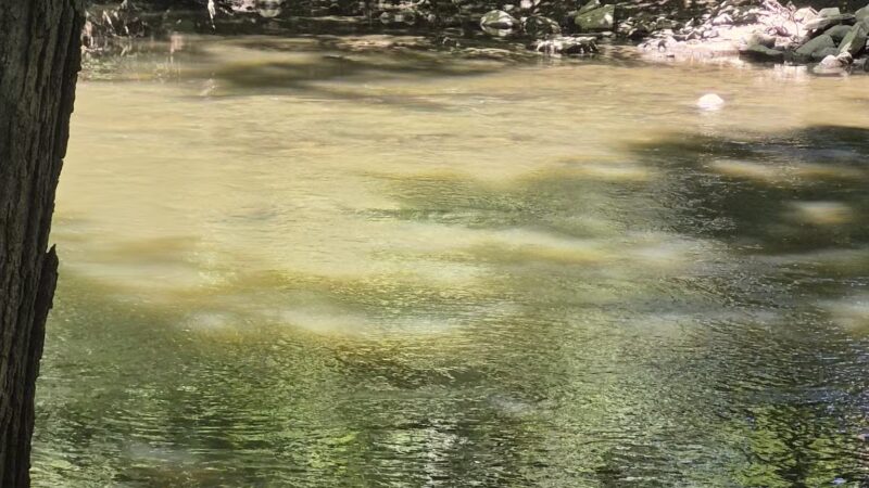 Harrybrooke Park - New Milford, CT