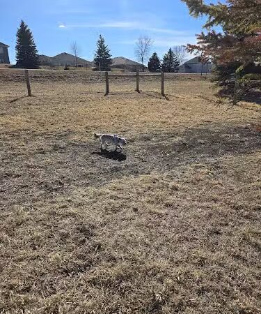 New Prague Off-Leash Dog Park - New Prague, MN