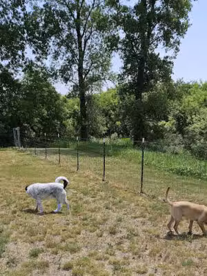 New Richmond Area Off Leash Dog Park - New Richmond, WI