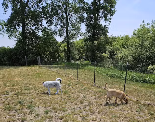 New Richmond Area Off Leash Dog Park - New Richmond, WI