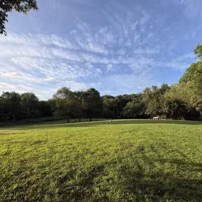 Paws Place Dog Park - New Rochelle, NY