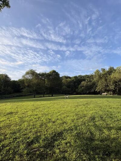 Paws Place Dog Park - New Rochelle, NY