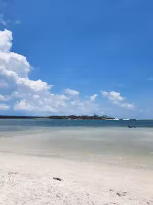 Dog park beach - New Smyrna Beach, FL