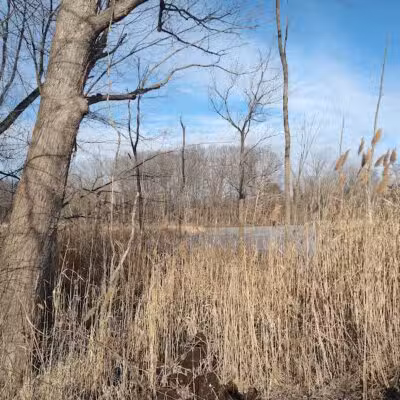 Mill Road Park - New Troy,