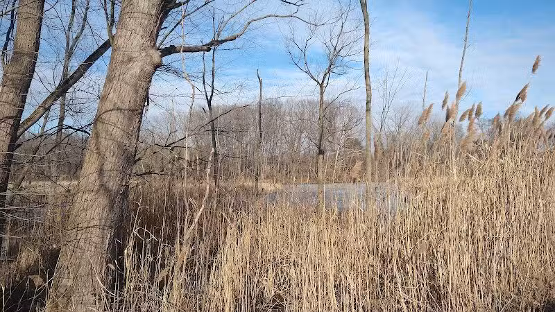 Mill Road Park - New Troy,