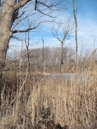 Mill Road Park - New Troy,