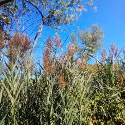 Mill Road Park - New Troy,