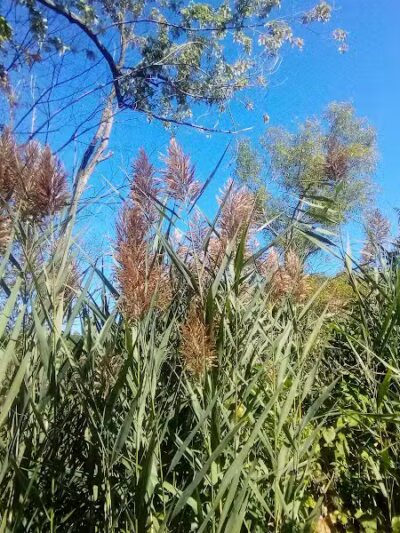 Mill Road Park - New Troy,