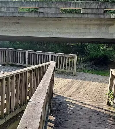 Mill Road Park - New Troy,