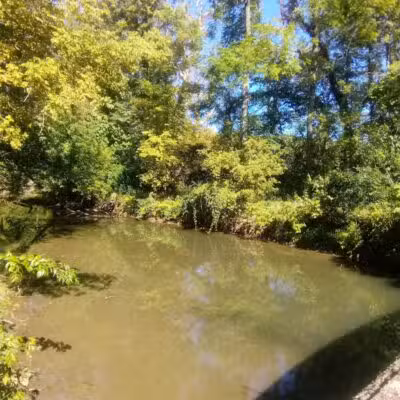 Mill Road Park - New Troy,