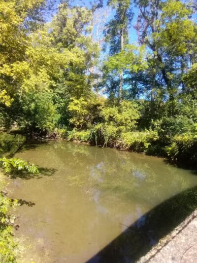 Mill Road Park - New Troy,