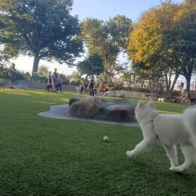 Carl Schurz Park Dog Runs - New York, NY