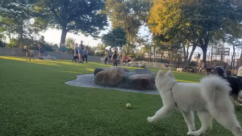 Carl Schurz Park Dog Runs - New York, NY
