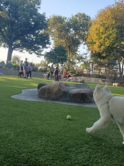 Carl Schurz Park Dog Runs - New York, NY